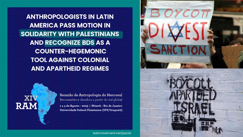 Acad Micos Da Am Rica Latina Apoiam Bds Revista Bras Il