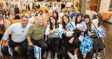 Cerca de 31.000 olim chegaram a Israel no último ano